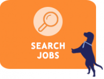 Job Search